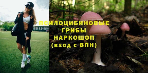 прущий лед Лагань