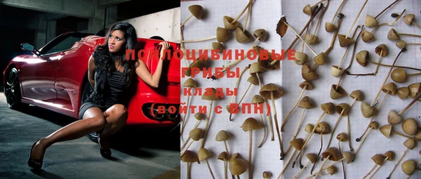 мяу мяу кристалл Лабытнанги