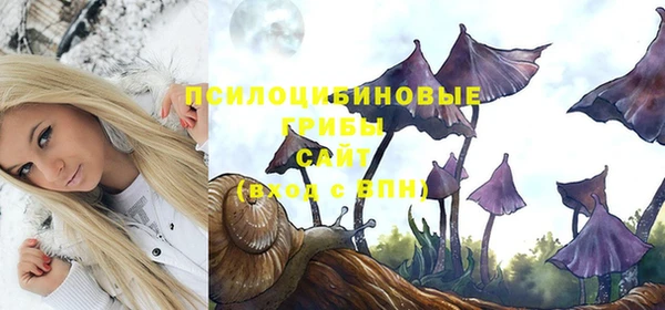 экстази Ладушкин