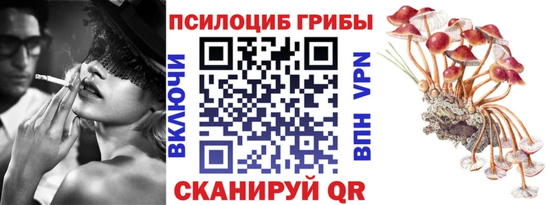 Псилоцибиновые грибы MAGIC MUSHROOMS  Чердынь 